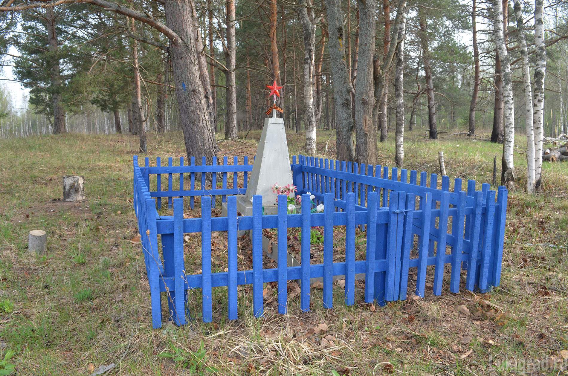 Могила неизвестного солдата вблизи д.Сопки Переслегинской (до 2015 года - Горицкой) волости Великолукского района. Лукиград