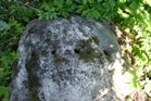 Рыжаково. Камень с отверстиями, найденный на берегу реки. Назначение пока не выяснено.