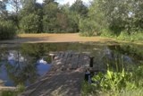 Старый, довоенный пруд. Несколько раз чистился и расширялся. Фото и описание Бориса Максимова.