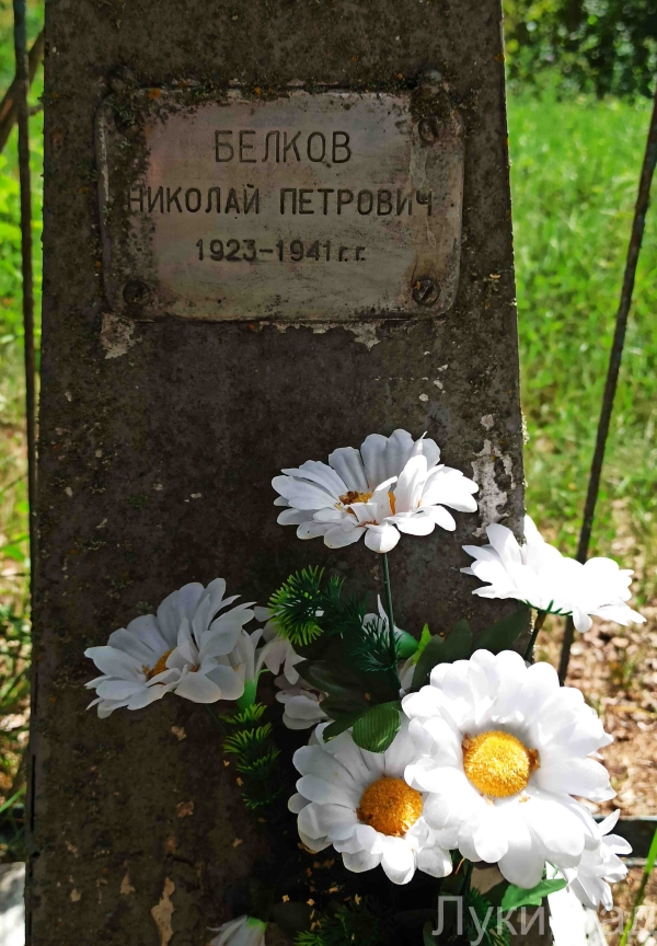 Табличка на могиле партизана в деревне Личково Великолукского района - Лукиград