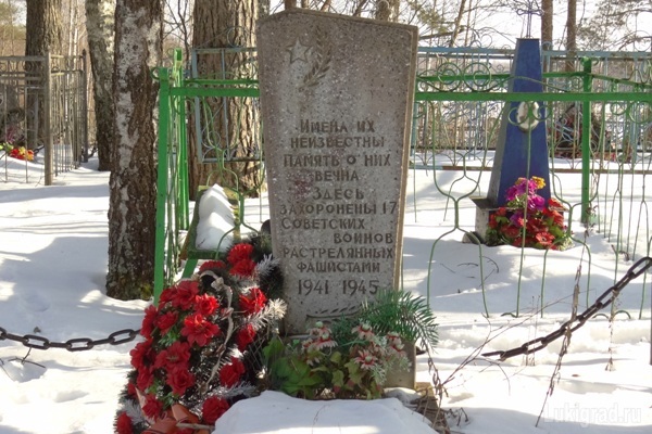 Братское захоронение могила 17 воинов Советской Армии в деревне Медведково Великолукского района